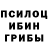 Псилоцибиновые грибы прущие грибы Leva Albosti