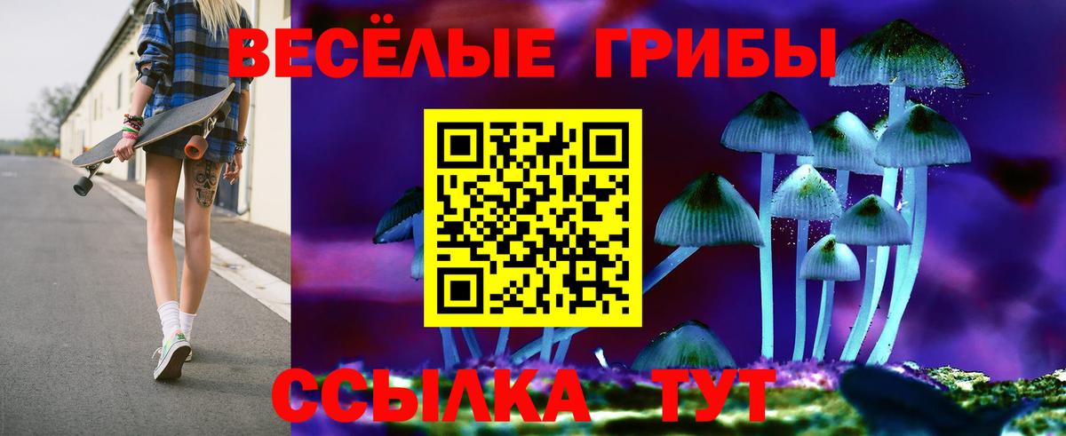 Галлюциногенные грибы Cubensis  Галлюциногенные грибы прущие грибы  Вход с VPN  Североуральск 