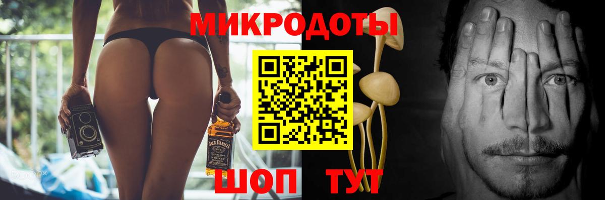 Псилоцибиновые грибы Cubensis Североуральск